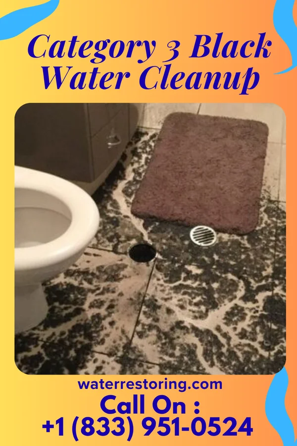 Category 3 Black Water Cleanup in Wilbur, WA