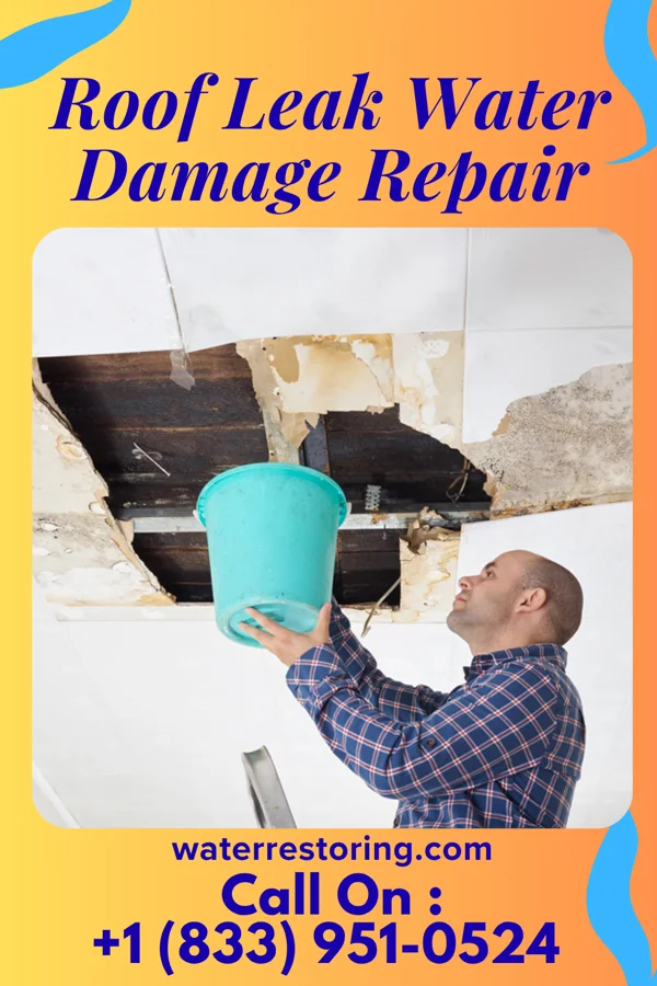Roof Leak Water Damage Repair in Wilbur, WA