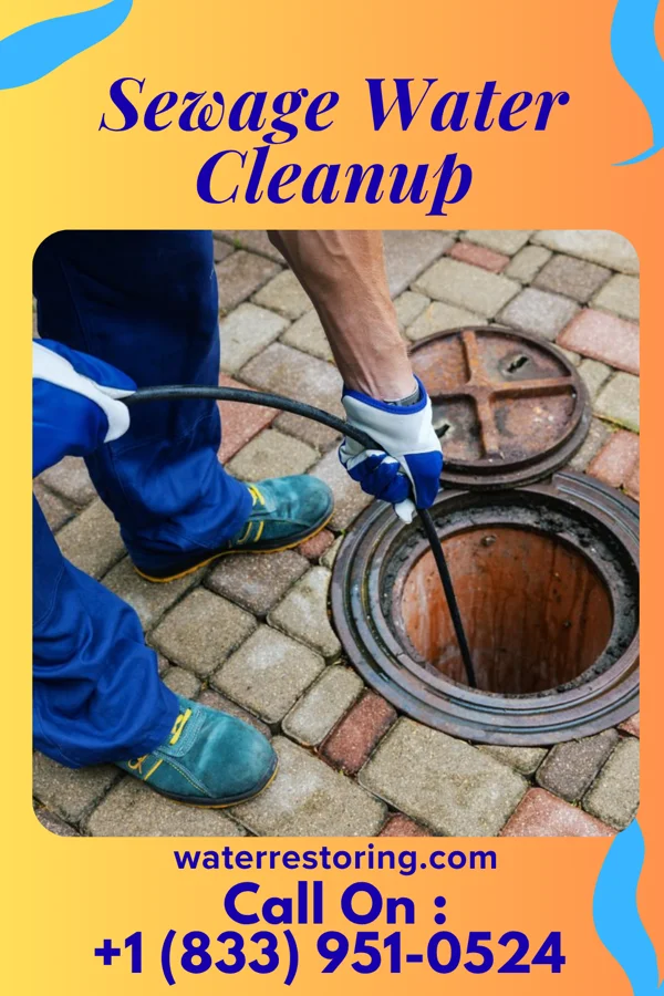 Sewage Water Cleanup in Wilbur, WA